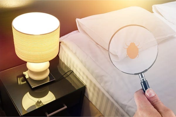 Magnifying glass over bed with bed bug cartoon