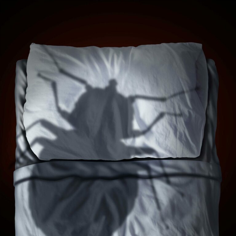 Shadow of bed bug over bed