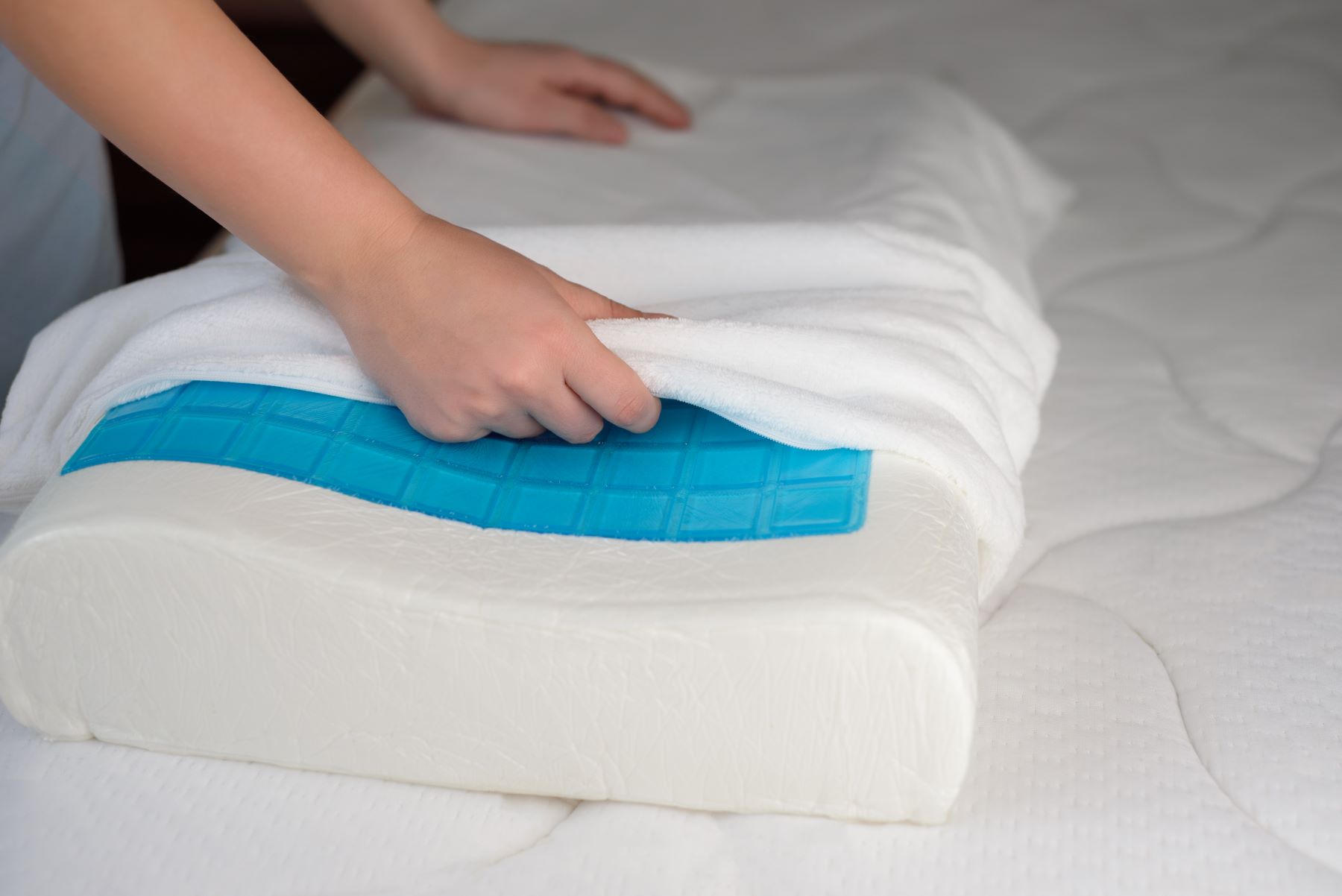 Can Bed Bugs Go Through Plastic Mattress Cover  