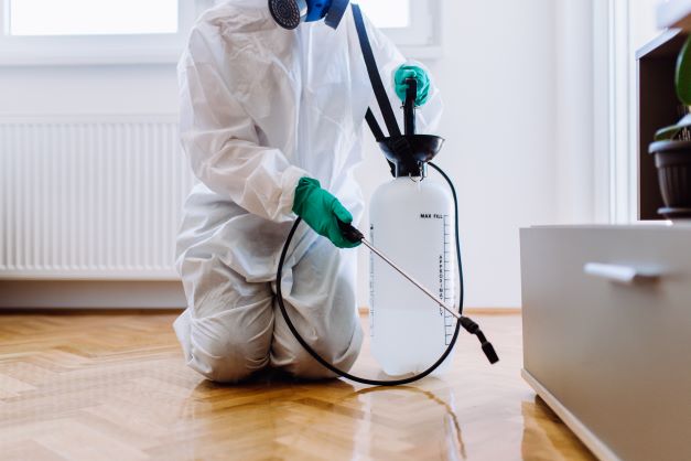 An exterminator spraying chemicals inside of a home