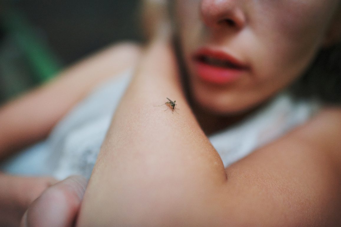Mosquito on a child's arm
