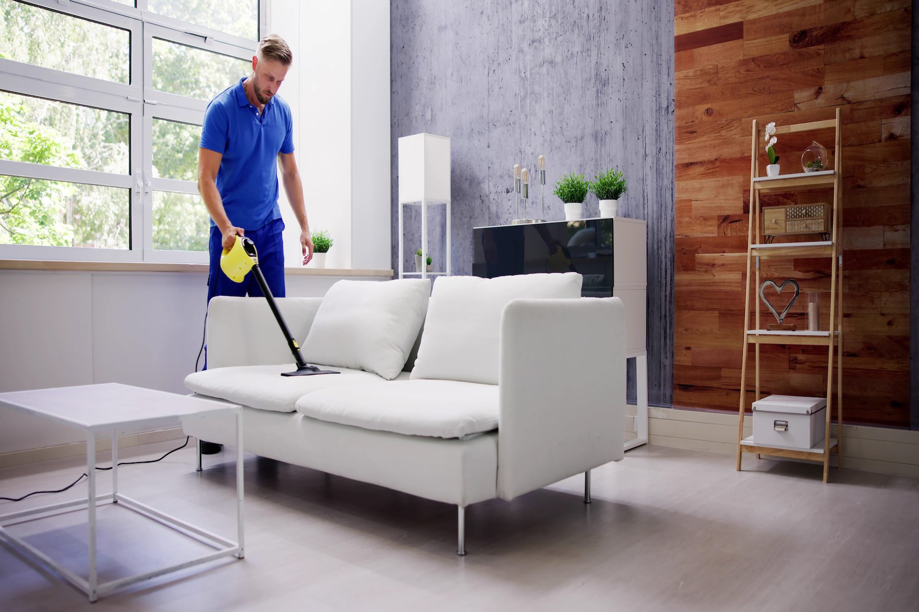 Sofa Steam Cleaner Service. Professional Worker Cleanup